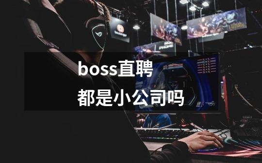 boss直聘都是小公司吗-第1张-游戏信息-龙启网