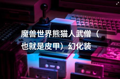 魔兽世界熊猫人武僧（也就是皮甲）幻化装-第1张-游戏信息-龙启网