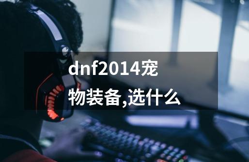 dnf2014宠物装备,选什么-第1张-游戏信息-龙启网