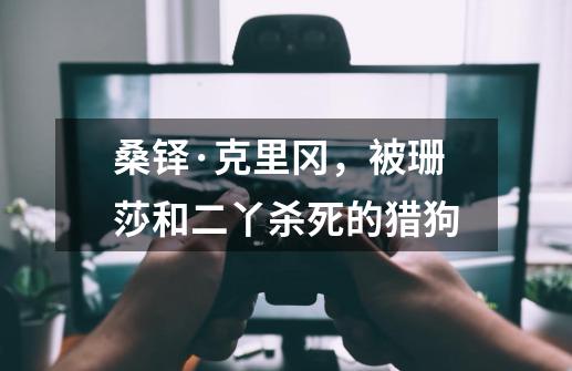 桑铎·克里冈,被珊莎和二丫杀死的猎狗-第1张-游戏信息-龙启网