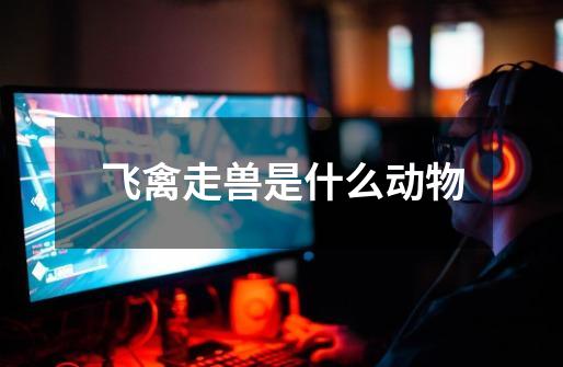 飞禽走兽是什么动物-第1张-游戏信息-龙启网