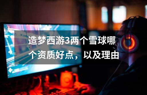 造梦西游3两个雪球哪个资质好点，以及理由-第1张-游戏信息-龙启网