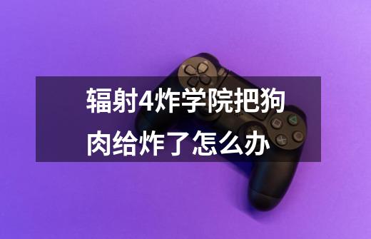 辐射4炸学院把狗肉给炸了怎么办-第1张-游戏信息-龙启网