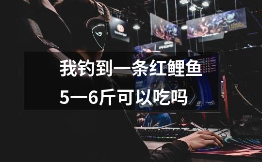 我钓到一条红鲤鱼5一6斤可以吃吗-第1张-游戏信息-龙启网