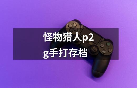 怪物猎人p2g手打存档-第1张-游戏信息-龙启网