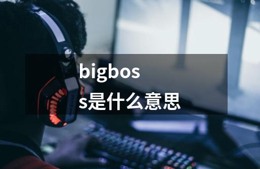 bigboss是什么意思-第1张-游戏信息-龙启网