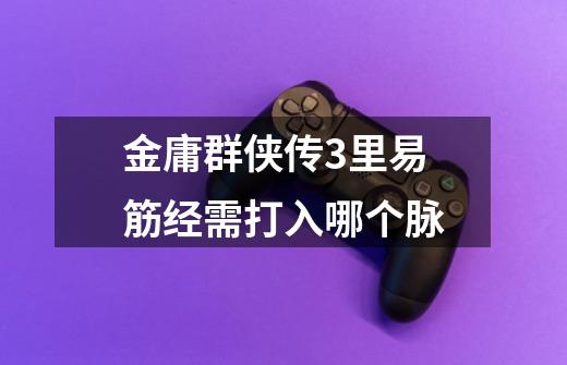 金庸群侠传3里易筋经需打入哪个脉-第1张-游戏信息-龙启网