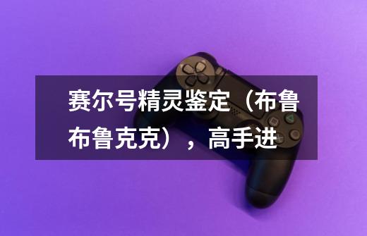 赛尔号精灵鉴定(布鲁+布鲁克克),高手进-第1张-游戏信息-龙启网