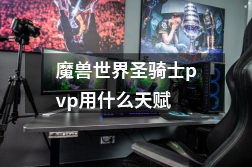 魔兽世界圣骑士pvp用什么天赋-第1张-游戏信息-龙启网