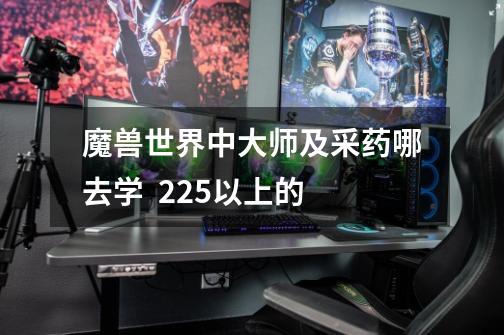 魔兽世界中大师及采药哪去学  225以上的-第1张-游戏信息-龙启网