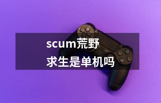 scum荒野求生是单机吗-第1张-游戏信息-龙启网