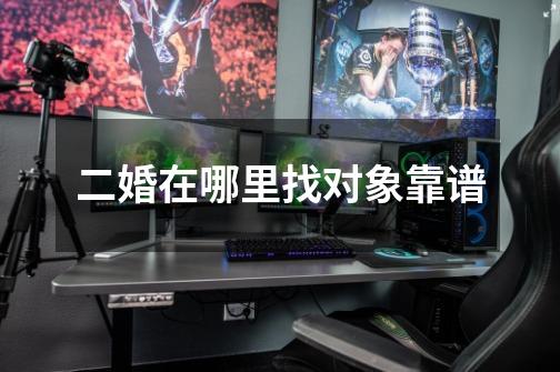 二婚在哪里找对象靠谱-第1张-游戏信息-龙启网