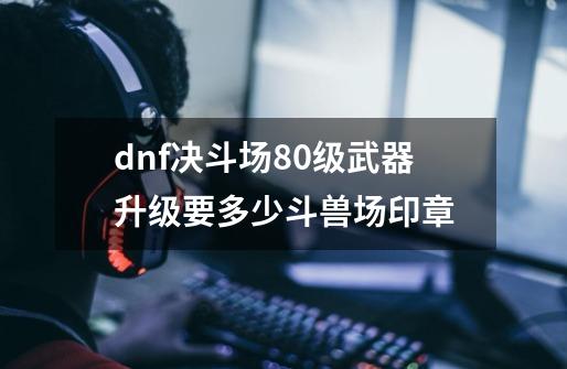 dnf决斗场80级武器升级要多少斗兽场印章-第1张-游戏信息-龙启网
