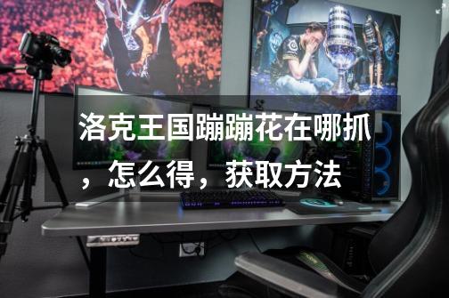 洛克王国蹦蹦花在哪抓,怎么得,获取方法-第1张-游戏信息-龙启网