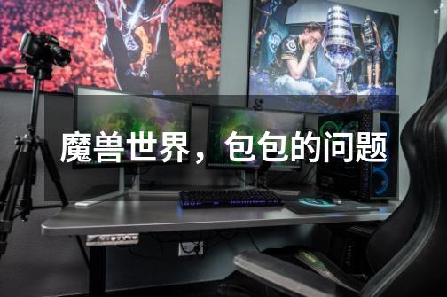 魔兽世界,包包的问题-第1张-游戏信息-龙启网