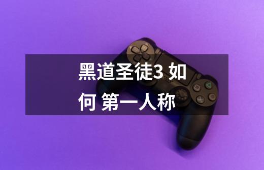 黑道圣徒3 如何 第一人称-第1张-游戏信息-龙启网