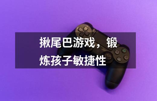 揪尾巴游戏,锻炼孩子敏捷性-第1张-游戏信息-龙启网