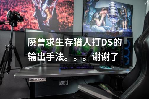 魔兽求生存猎人打DS的输出手法。。。谢谢了-第1张-游戏信息-龙启网