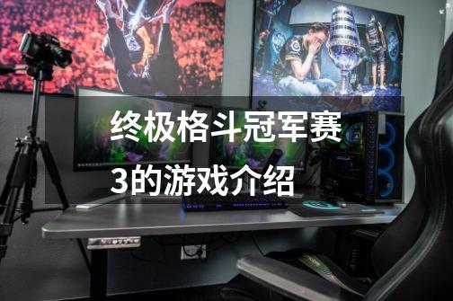 终极格斗冠军赛3的游戏介绍-第1张-游戏信息-龙启网