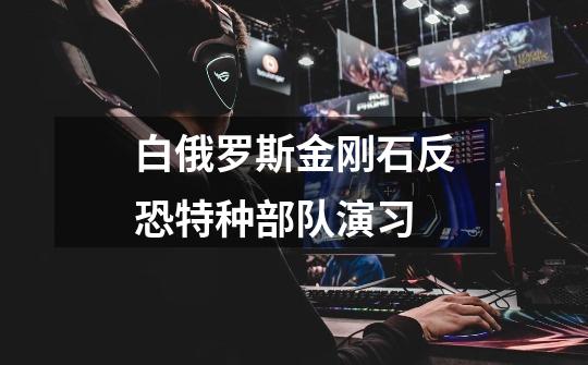白俄罗斯金刚石反恐特种部队演习-第1张-游戏信息-龙启网
