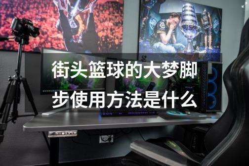 街头篮球的大梦脚步使用方法是什么-第1张-游戏信息-龙启网