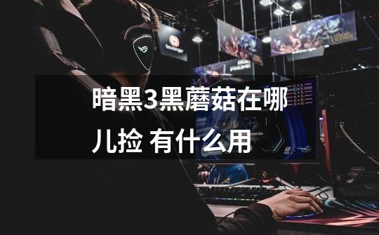 暗黑3黑蘑菇在哪儿捡 有什么用-第1张-游戏信息-龙启网