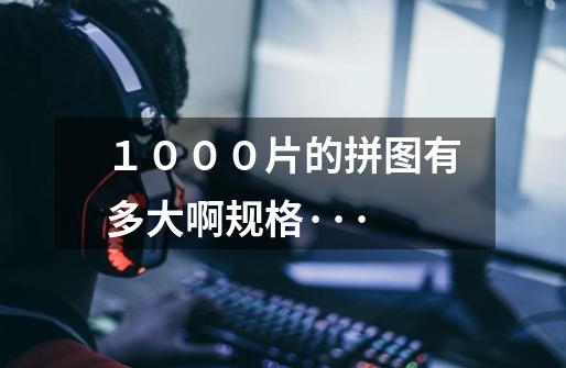 1000片的拼图有多大啊规格···-第1张-游戏信息-龙启网