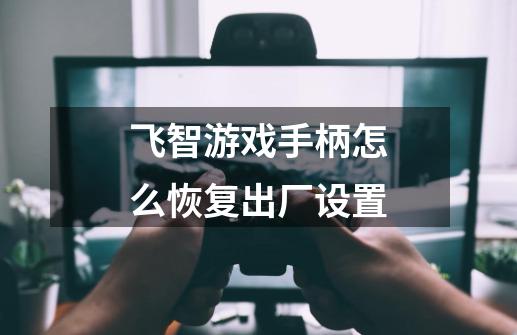 飞智游戏手柄怎么恢复出厂设置-第1张-游戏信息-龙启网