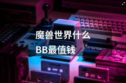 魔兽世界什么BB最值钱-第1张-游戏信息-龙启网