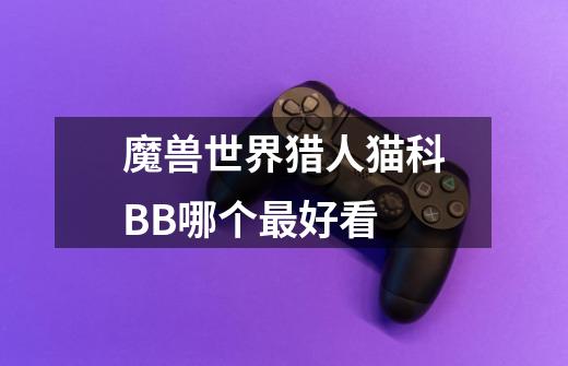 魔兽世界猎人猫科BB哪个最好看-第1张-游戏信息-龙启网