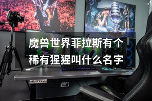 魔兽世界菲拉斯有个稀有猩猩叫什么名字-第1张-游戏信息-龙启网
