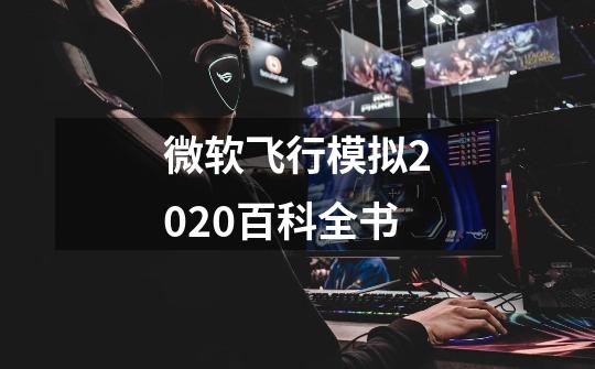 微软飞行模拟2020百科全书-第1张-游戏信息-龙启网