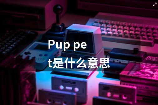Pup pet是什么意思-第1张-游戏信息-龙启网