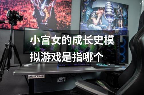 小宫女的成长史模拟游戏是指哪个-第1张-游戏信息-龙启网