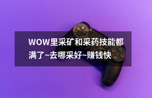 WOW里采矿和采药技能都满了~去哪采好~赚钱快-第1张-游戏信息-龙启网