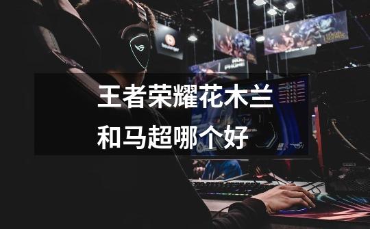 王者荣耀花木兰和马超哪个好-第1张-游戏信息-龙启网