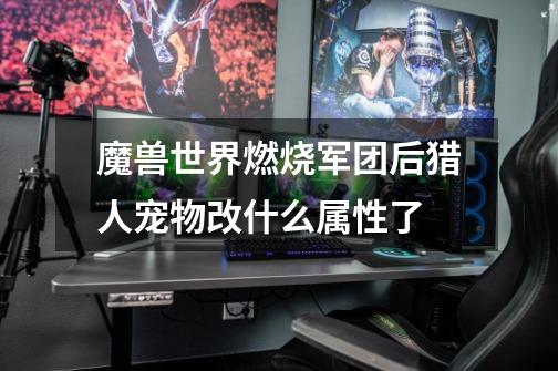 魔兽世界燃烧军团后猎人宠物改什么属性了-第1张-游戏信息-龙启网
