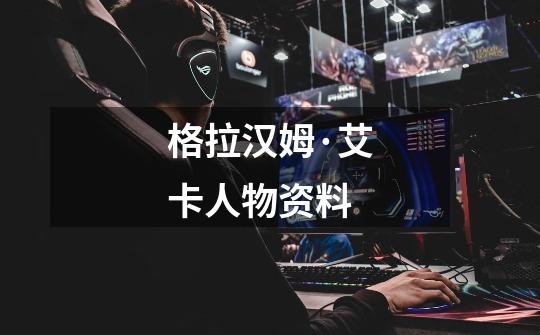 格拉汉姆·艾卡人物资料-第1张-游戏信息-龙启网