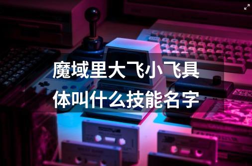 魔域里大飞小飞具体叫什么技能名字-第1张-游戏信息-龙启网