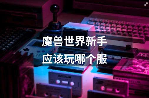 魔兽世界新手应该玩哪个服-第1张-游戏信息-龙启网