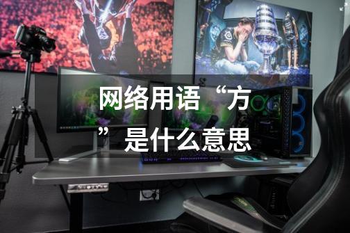 网络用语“方”是什么意思-第1张-游戏信息-龙启网