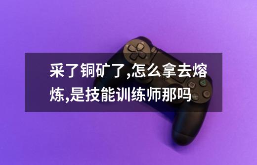 采了铜矿了,怎么拿去熔炼,是技能训练师那吗-第1张-游戏信息-龙启网