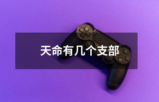 天命有几个支部-第1张-游戏信息-龙启网