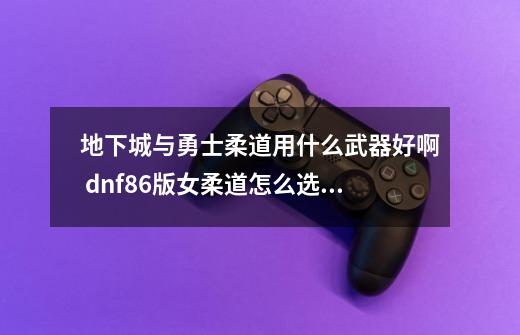 地下城与勇士柔道用什么武器好啊 dnf86版女柔道怎么选择异界套-第1张-游戏信息-龙启网
