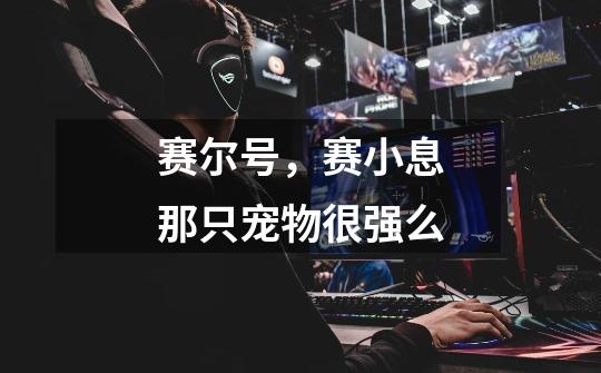 赛尔号，赛小息那只宠物很强么-第1张-游戏信息-龙启网