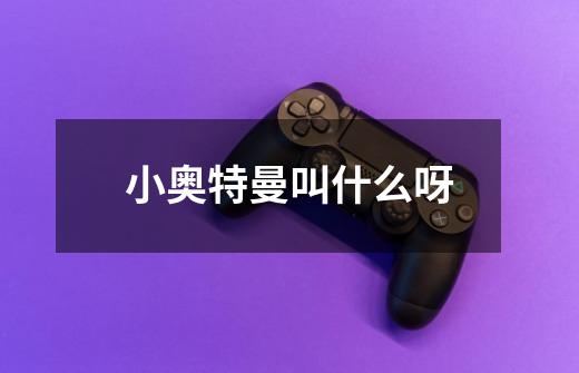 小奥特曼叫什么呀-第1张-游戏信息-龙启网