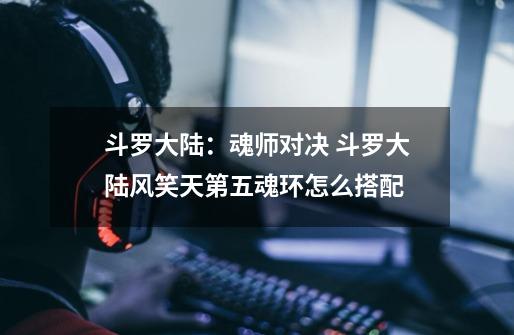 斗罗大陆:魂师对决 斗罗大陆风笑天第五魂环怎么搭配-第1张-游戏信息-龙启网