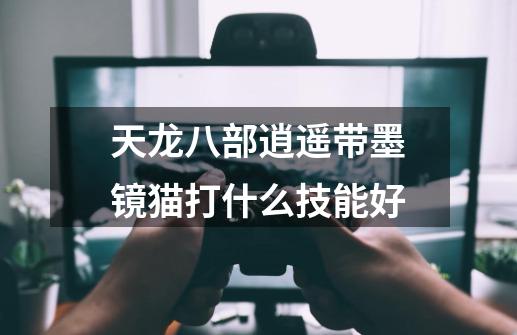 天龙八部逍遥带墨镜猫打什么技能好-第1张-游戏信息-龙启网