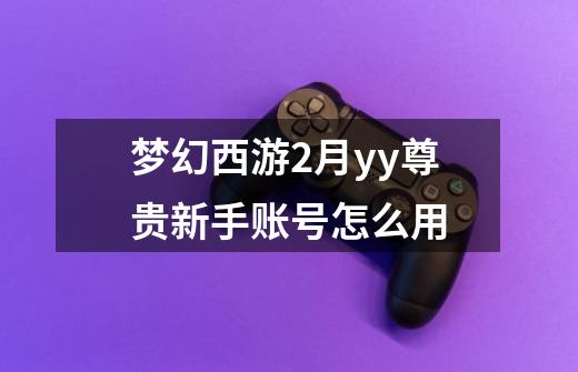 梦幻西游2月yy尊贵新手账号怎么用-第1张-游戏信息-龙启网