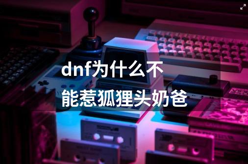 dnf为什么不能惹狐狸头奶爸-第1张-游戏信息-龙启网